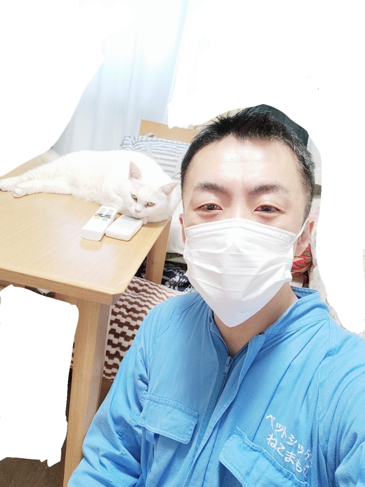 新宿区 お得意様 元気な14才 おばあちゃま ニャンちゃん お世話レポート🐈