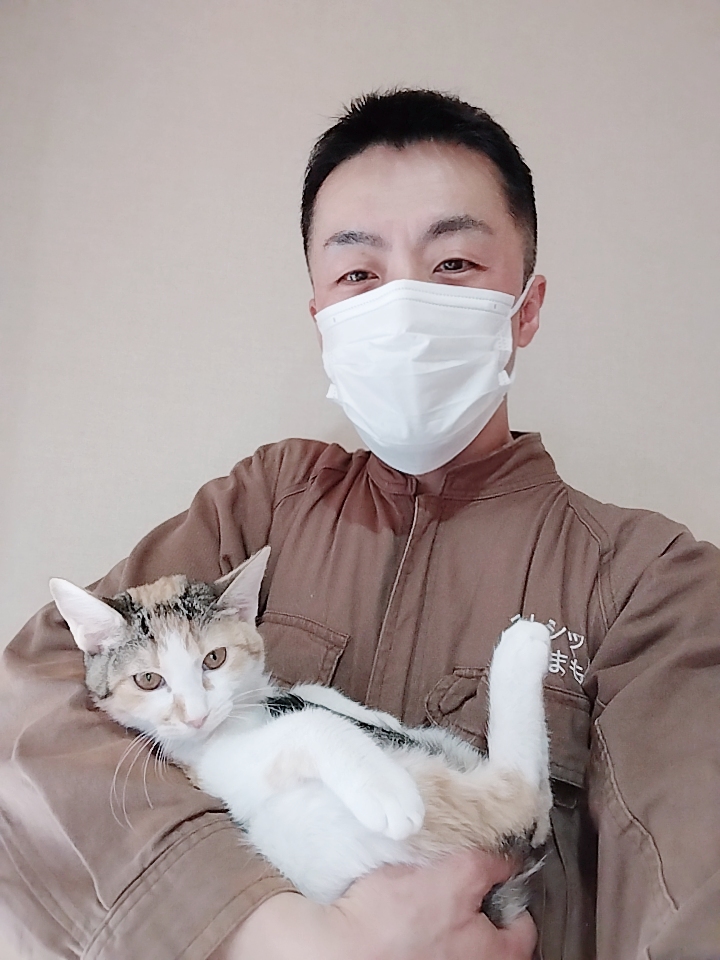 杉並区 ご新規様 ミニミニ三毛ちゃん お世話レポート🐈