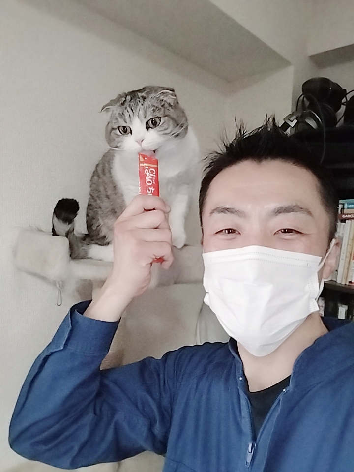 新宿区 お得意様 キャットタワー大好き〜 スコちゃん お世話レポート🐈