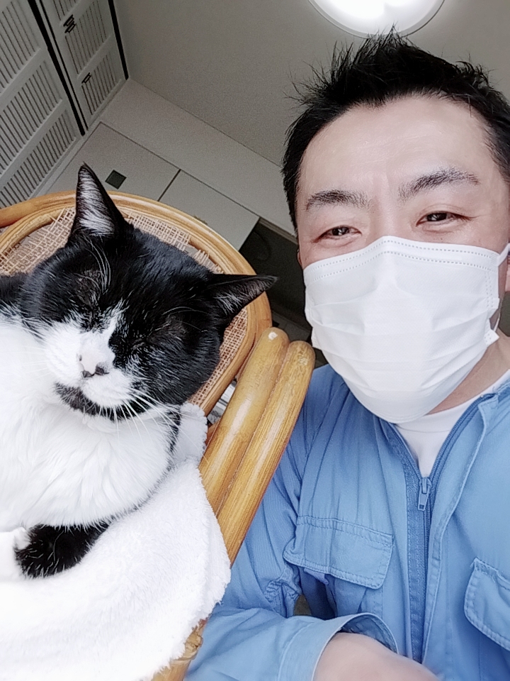 新宿区 お得意様 元気一杯16歳 おじいちゃんニャンくん お世話レポート🐈