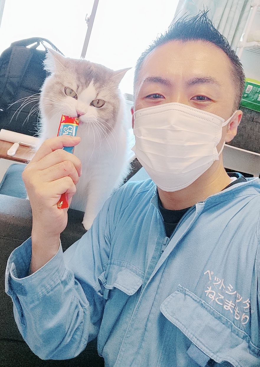 中野区 お得意様 疲れ知らずのラガマフィンくん お世話レポート🐈