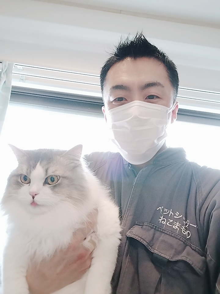 中野区 お得意様 もふもふ ころころ ラガマフィンくん お世話レポート🐈