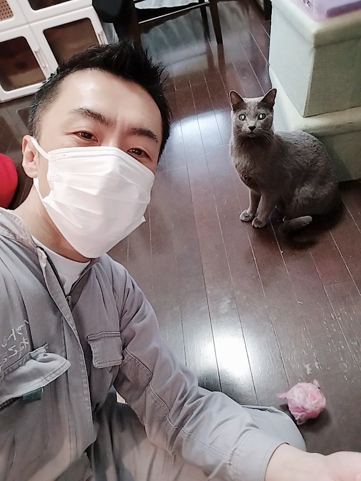 新宿区 ご新規様 くねくねスリスリ大好き ロシアンブルーくん お世話レポート🐈