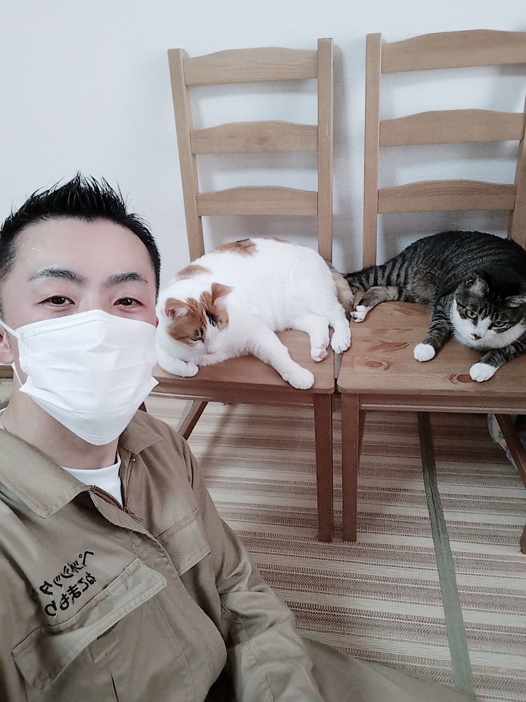 豊島区 お得意様 寄り添いニャンちゃん お世話レポート🐈