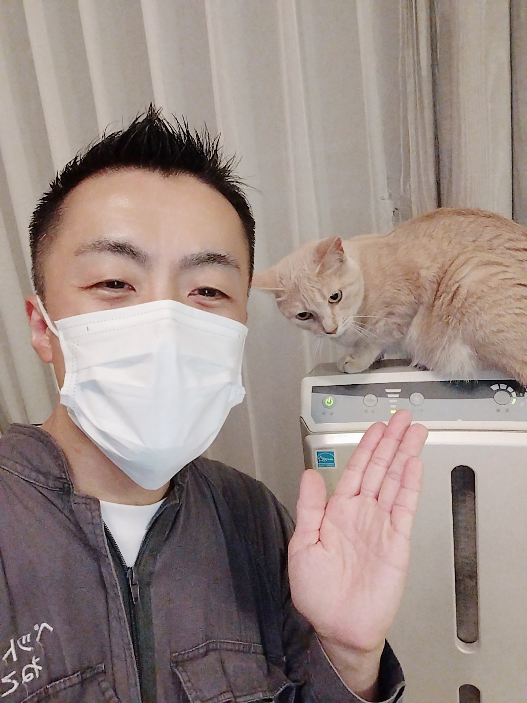 中野区 お得意様 仲良し３ニャンズ お世話レポート🐈