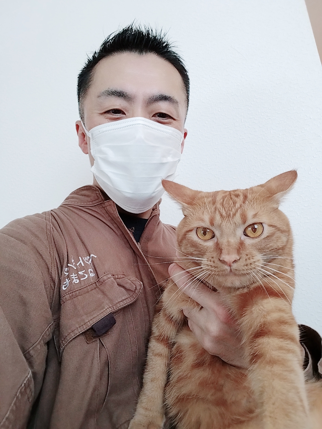 中野区 お得意様 久々の再会ニャンちゃん お世話レポート🐈