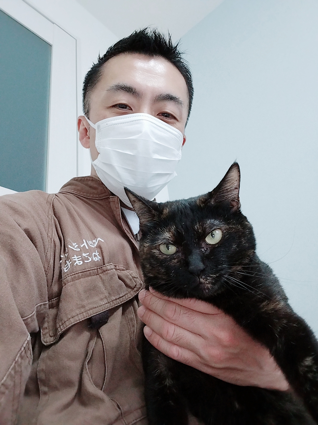 新宿区 お得意様 撫で撫で大好き 甘えん坊ニャンちゃん お世話レポート🐈