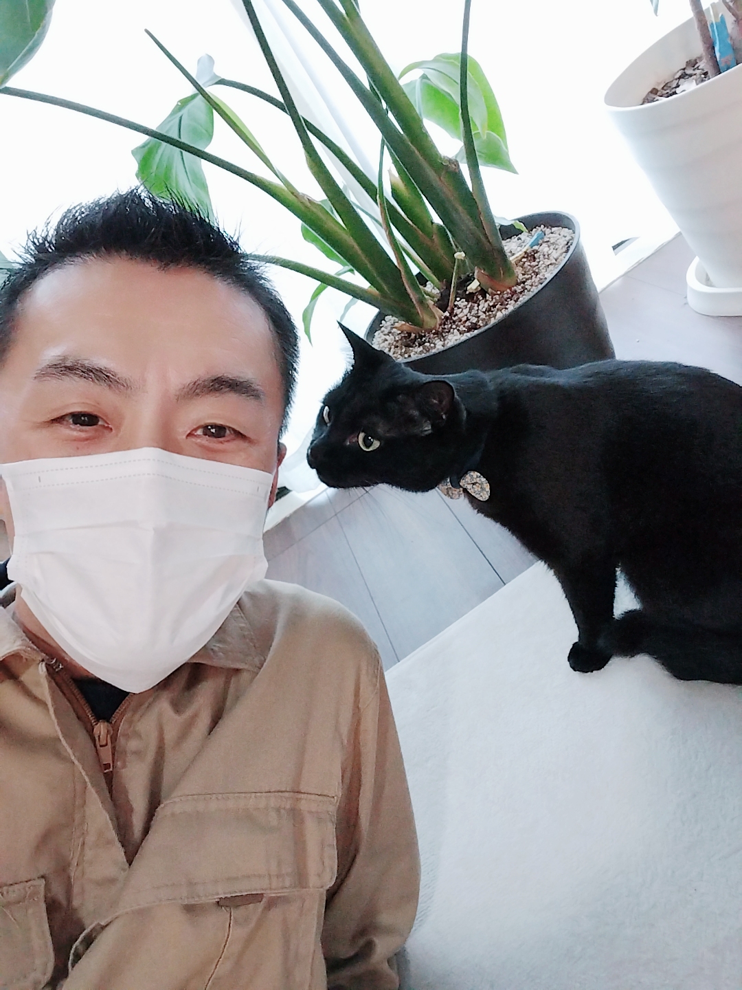 中野区 お得意様 元保護猫 まっくろニャンちゃん お世話レポート🐈