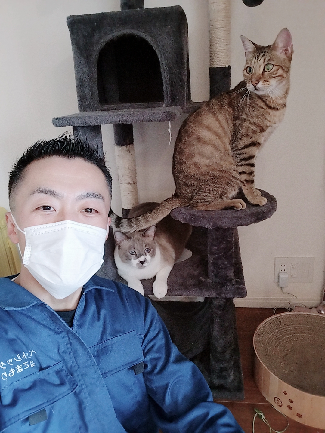 新宿区 ご新規様 やんちゃな!! 2ニャンくん お世話レポート🐈