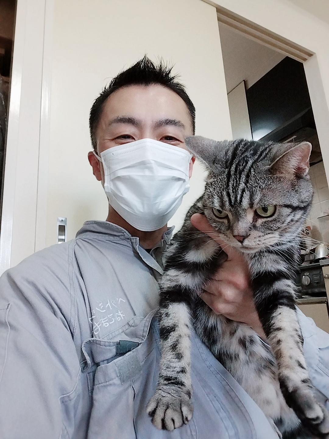 新宿区 ご新規様 猛ダッシュ!ドリフト! アメリカンショートヘアちゃん お世話レポート🐈