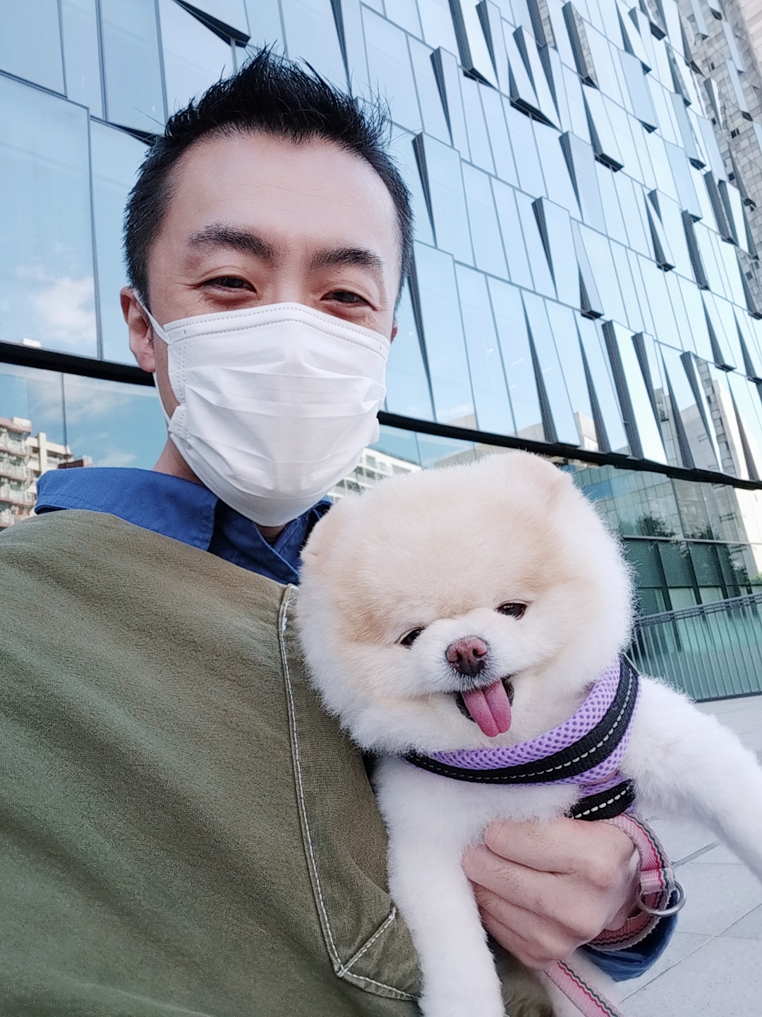 新宿区 お得意様 お腹スリスリ大好き ポメラニアンちゃん お世話レポート🐕