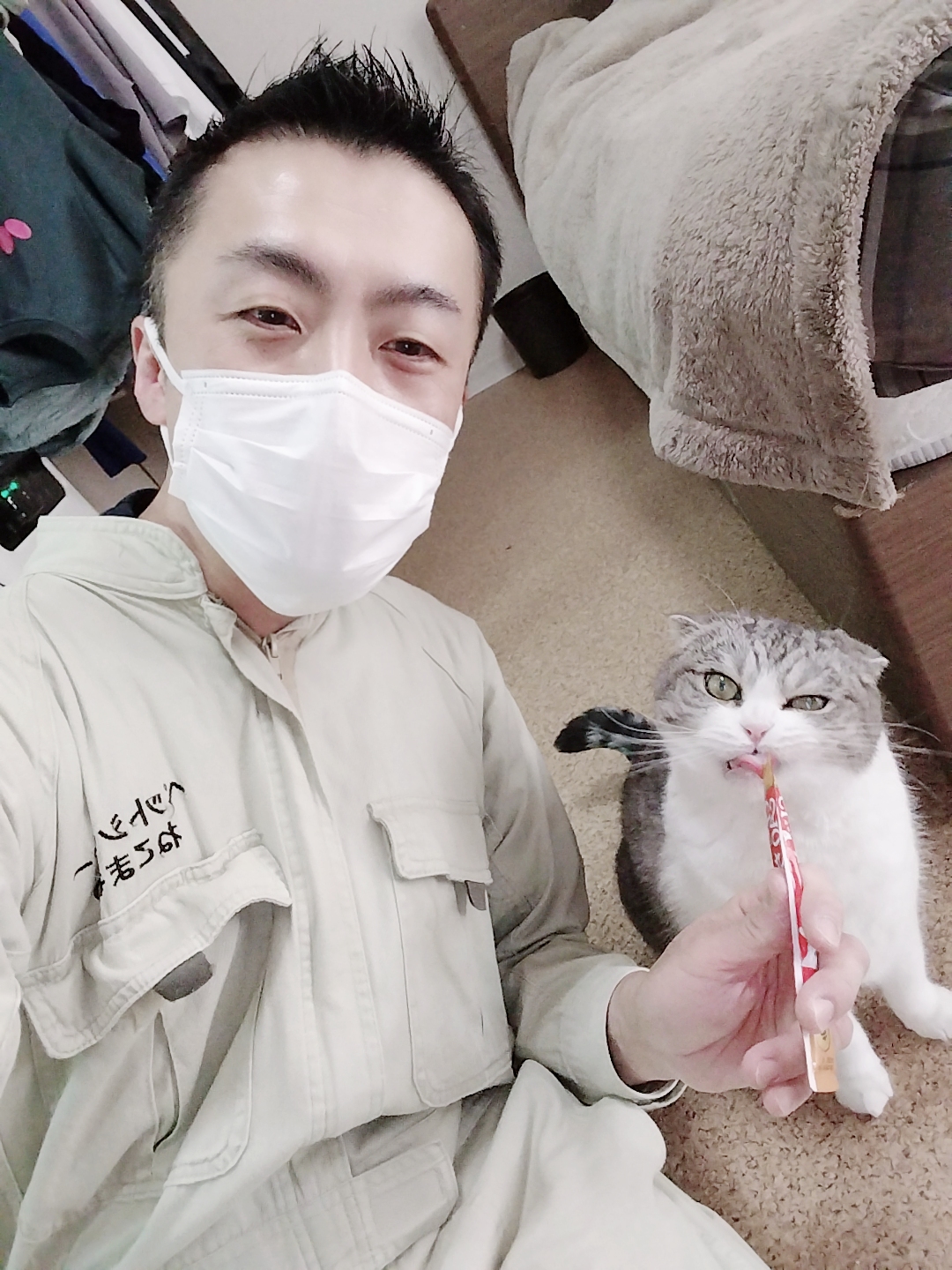 新宿区 お得意様 とっても元気な スコティッシュフォールドくん お世話レポート🐈