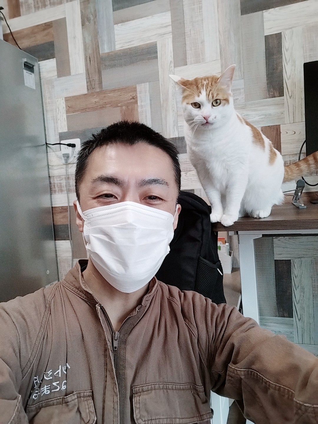 新宿区 ご新規様 スリスリ大好きニャンくん お世話レポート🐈