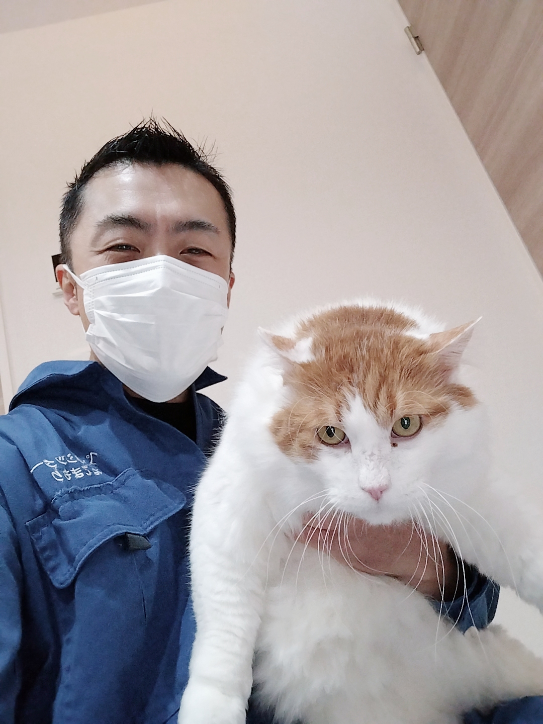 中野区 お得意様 スリスリ大好き茶白くん お世話レポート🐈