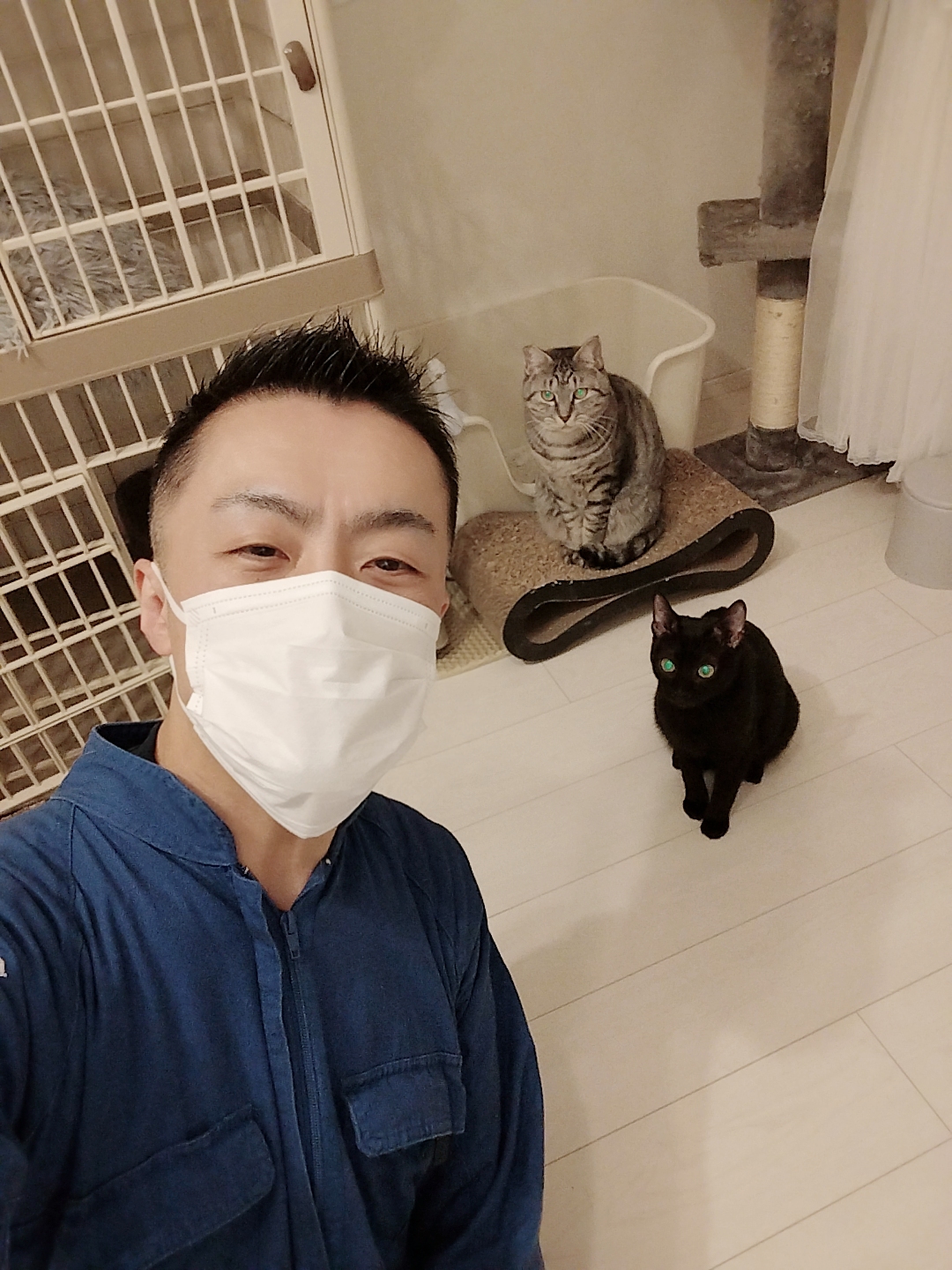 新宿区 ご新規様 2匹の仲良しニャンくん お世話レポート🐈