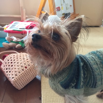 カウンセリング♪