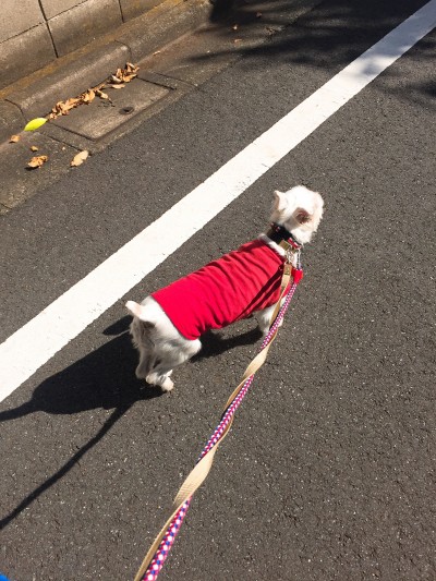 ミルちゃんのお世話