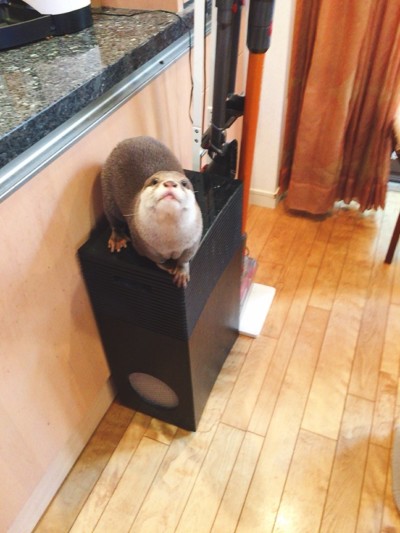 カウンセリング🎶