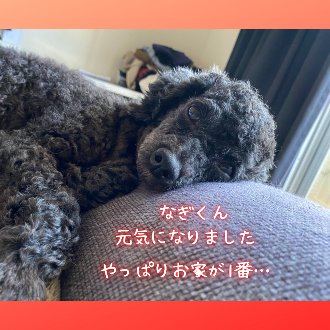 体調不良にご注意を⚠️