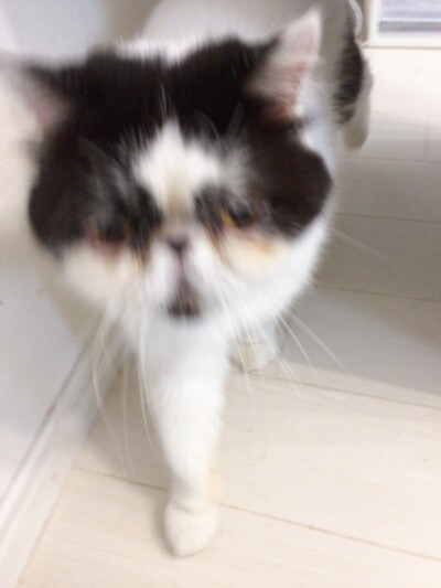 カウンセリング🎶