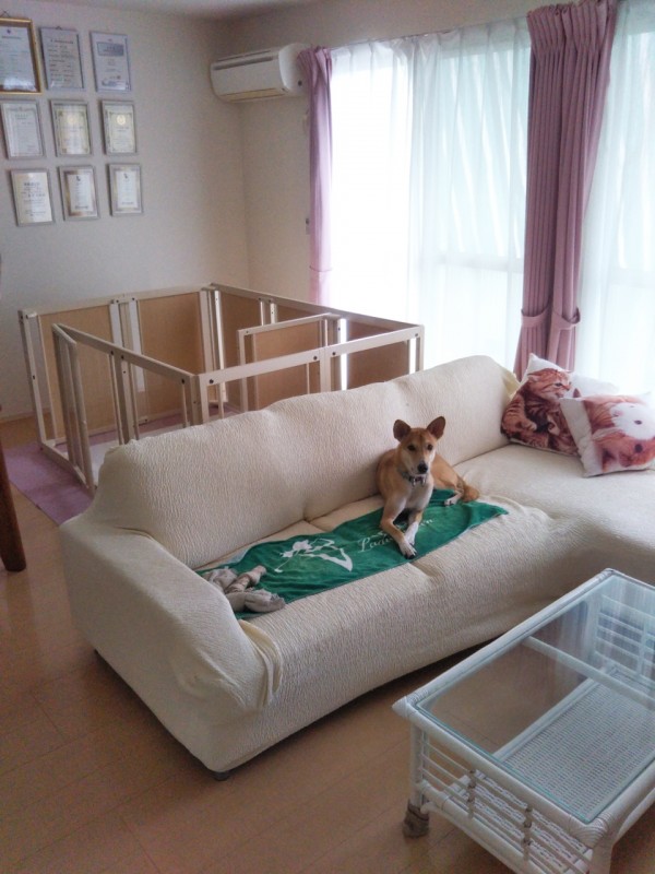 相部屋に宿泊こめ君☆