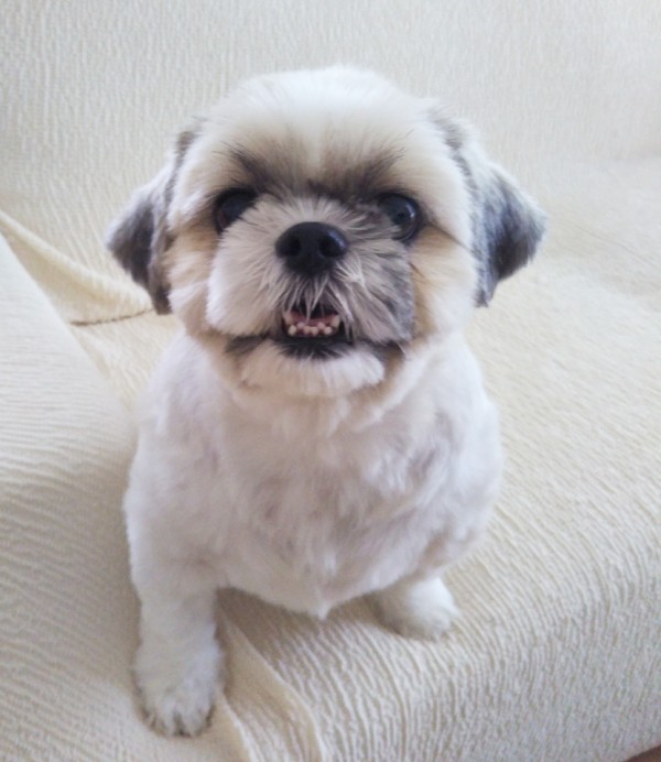 おっとりふぅちゃん☆