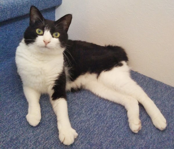 最長記録ナンシーちゃん☆