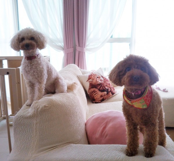 ココちゃん☆ルルちゃん☆