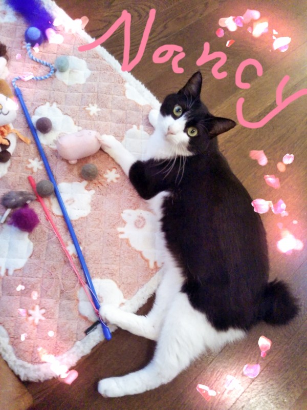 記録更新中ナンシーちゃん☆