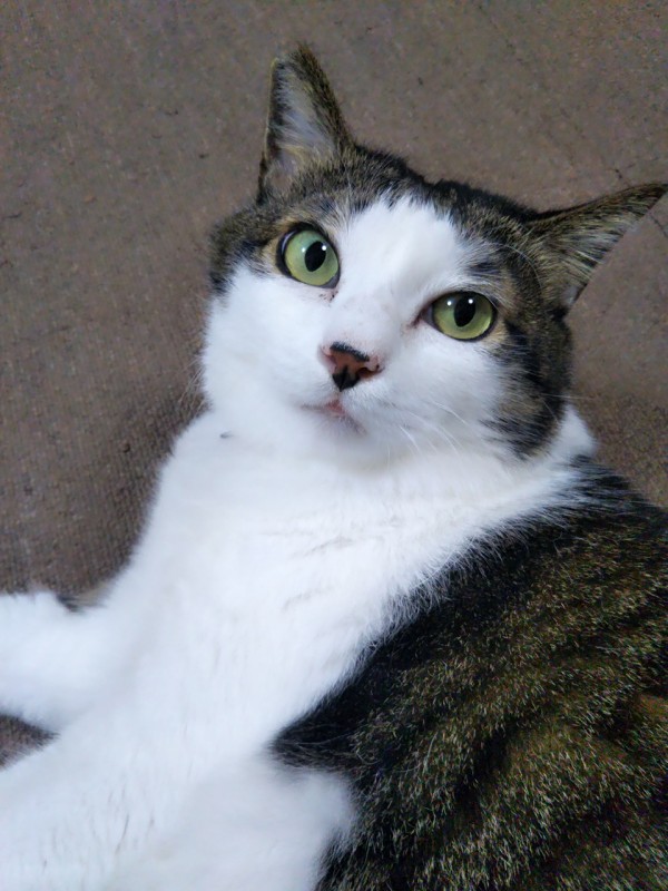 3度目のこのちゃん☆