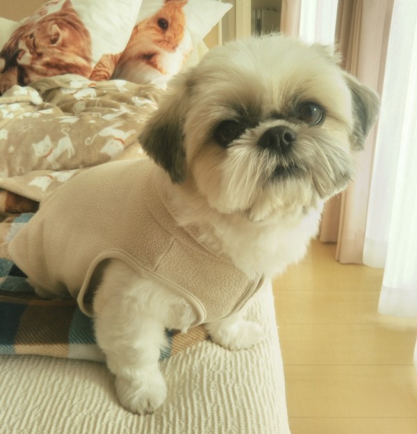 安定のふぅちゃん☆