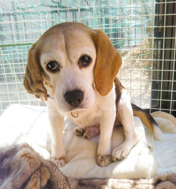 すっかり仲良しピッコロ君☆