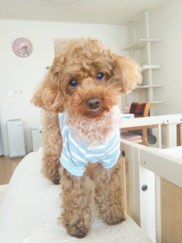 お引越しリッツ君☆