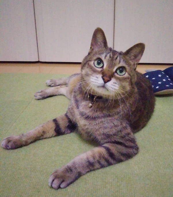 寂しがり屋のクー君☆