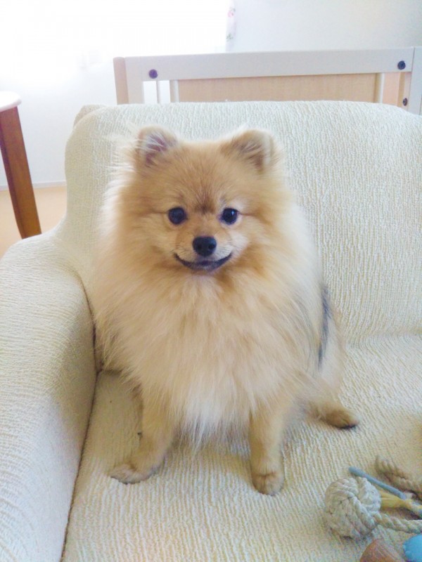 3度目の虎吉君☆