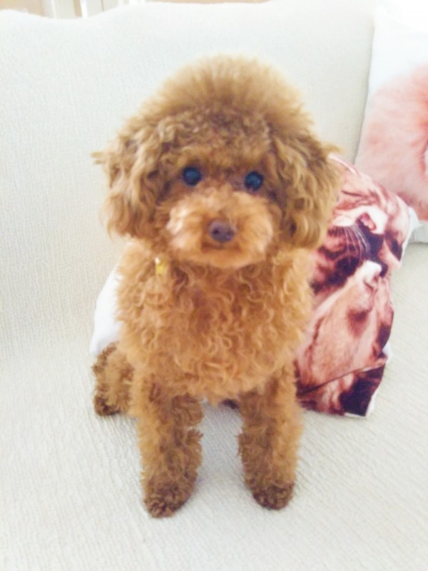 リピートのバーニー君☆