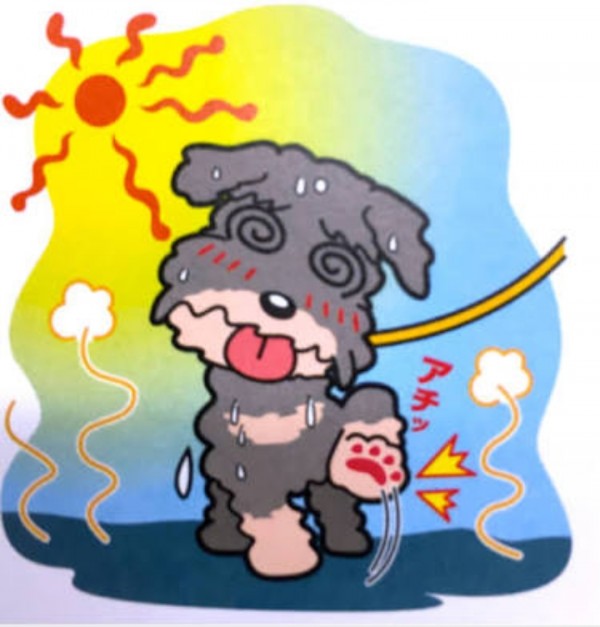 ワンコの熱中症にご注意を!☆