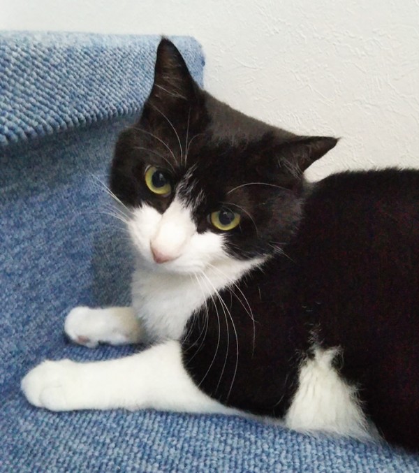 覚えていてくれたナンシーちゃん☆