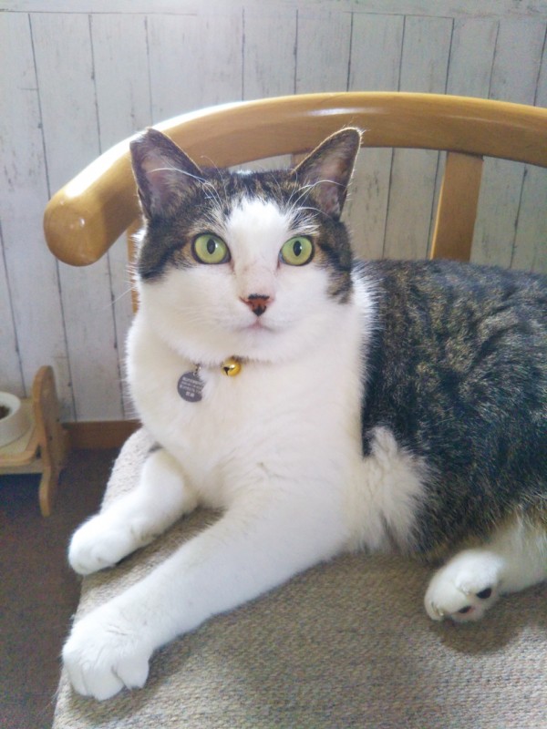 ビッグこのちゃん☆