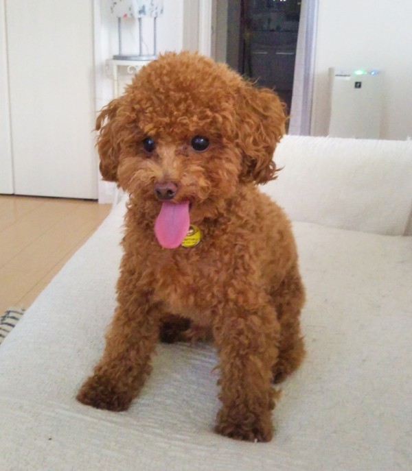 お友達が出来たバーニー君☆