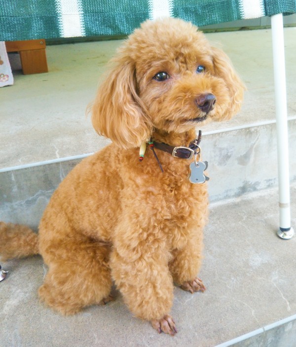 リピートのニコちゃん☆