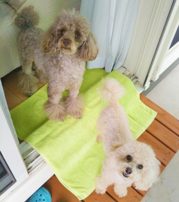 つむぎ君・こころちゃん☆