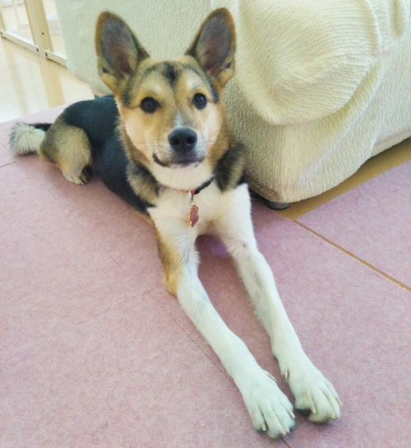 MIXつきちゃん☆