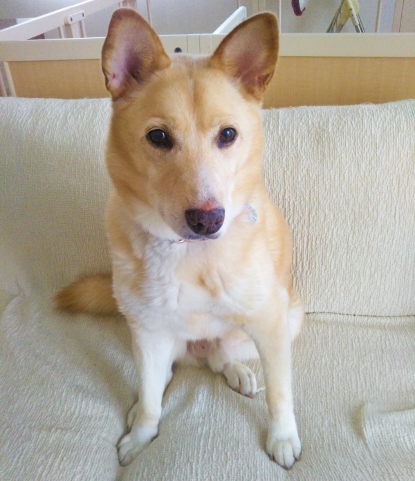 3回目のりょう君☆