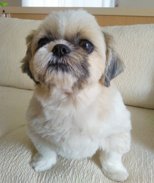 癒やし系ふぅちゃん☆