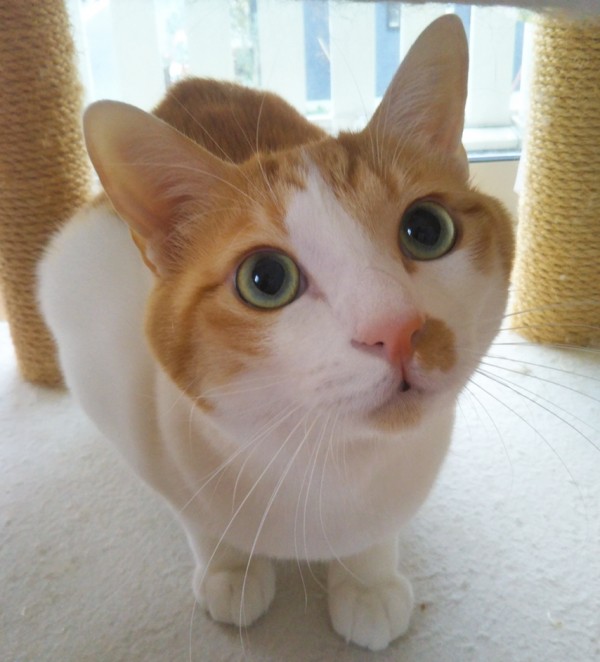 お久しぶりのミッキー君☆