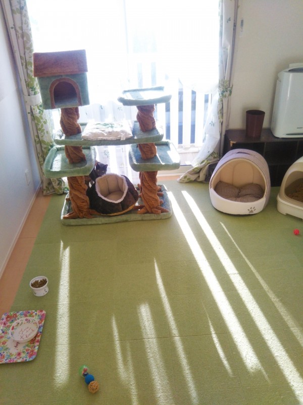 お久しぶりのララちゃん☆