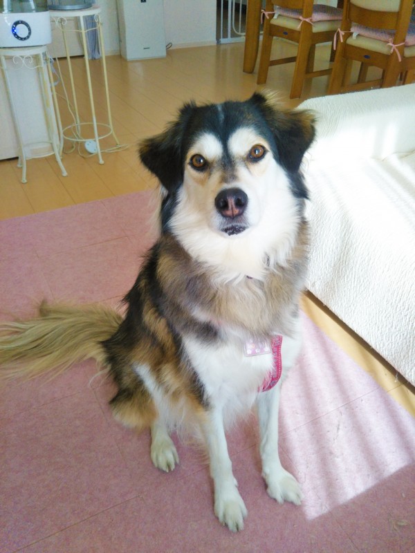 1年ぶりのラブリちゃん☆