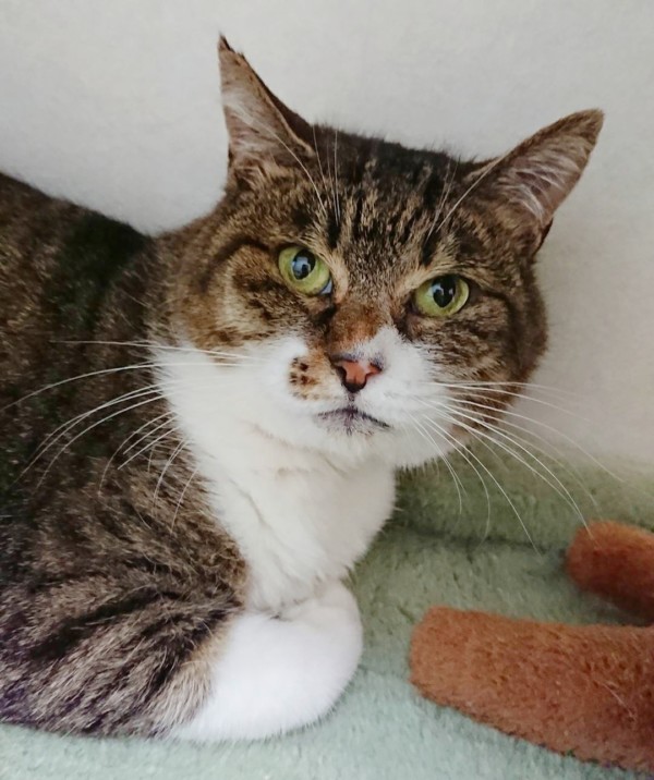 本当は甘えん坊の火星ちゃん☆