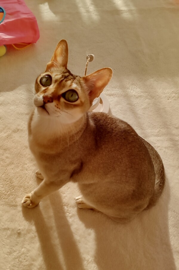 くつろぎミント君☆